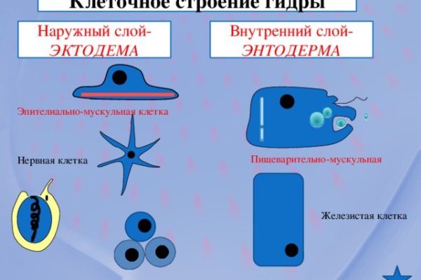 Kraken актуальное