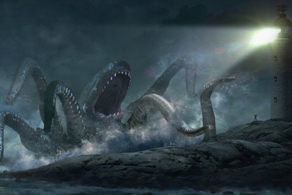 Kraken platform