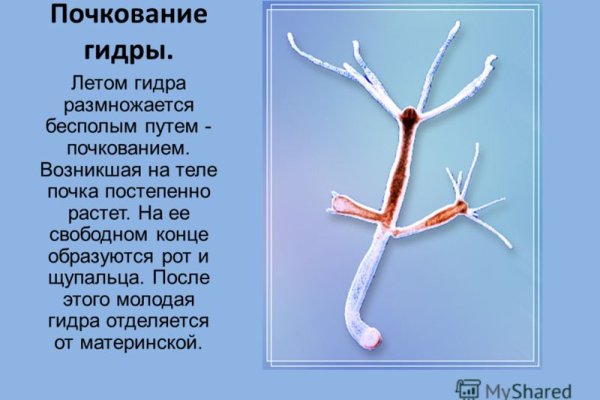 Зарегистрироваться на сайте кракен
