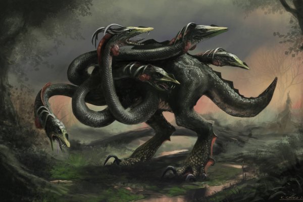 Kraken 14 at